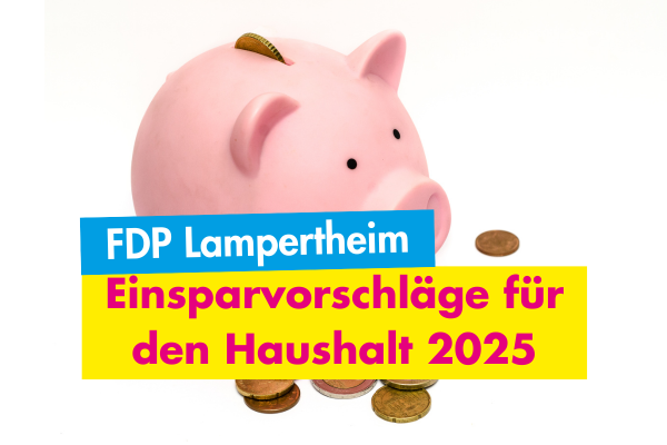 Einsparvorschläge für den Haushalt 2025