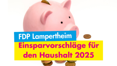 Einsparvorschläge für den Haushalt 2025